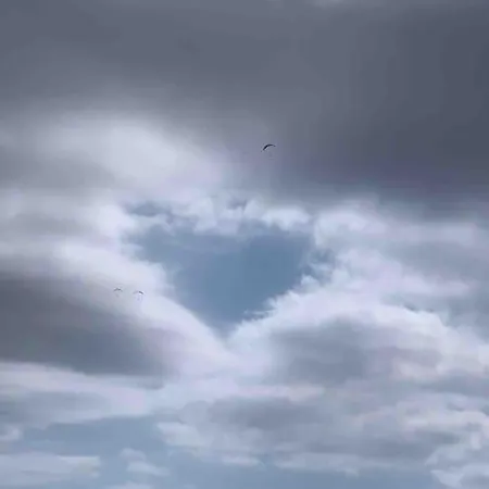 En Adeje Sur Costa Adeje (Tenerife)